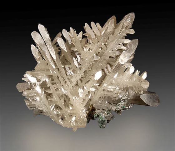 Gorgeous Cerrusite (this photo is from Wikipedia), many more gorgeous images of Cerussite are available on the MinDat website!